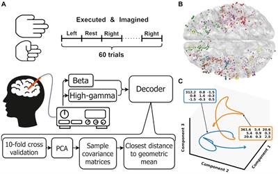 Decoding executed and imagined grasping movements from distributed non-motor brain areas using a Riemannian decoder